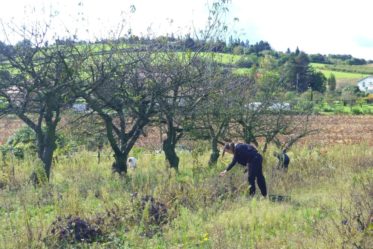 Vendanges Club Ado (2012)