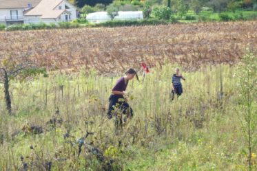 Vendanges Club Ado (2012)